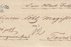 13.6.1845, úřední dopis do Terstu, razítko A.8-j., modré, příchozí razítko Triest 17.června